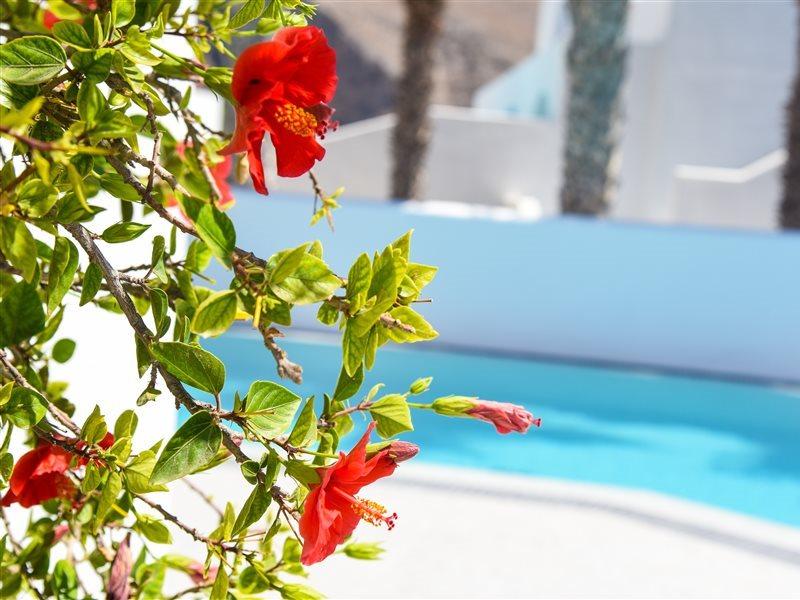 Kouros Village Hotel - Adults Only Perísza Kültér fotó